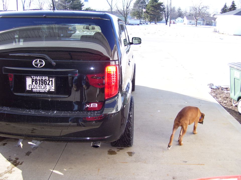 Rear of black Scion xB with Ohio plate on driveway, brown dog nearby