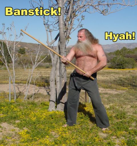 1989 Ford Bronco - A man with a long beard practices with a wooden staff outdoors, with yellow flowers on the ground.