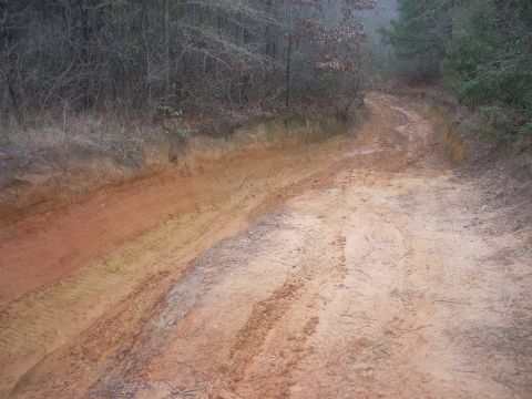 1992 Ford Bronco - A muddy dirt road cuts through a wooded area, showing signs of recent vehicle passage.