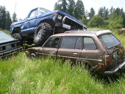 1979 Ford Bronco - Two vehicles sit abandoned in a field of tall grass under a cloudy sky.