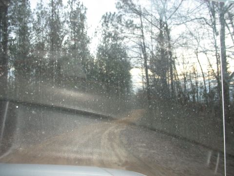 1978 Ford Bronco - Driving on a dirt road through a wooded area with trees lining the path.