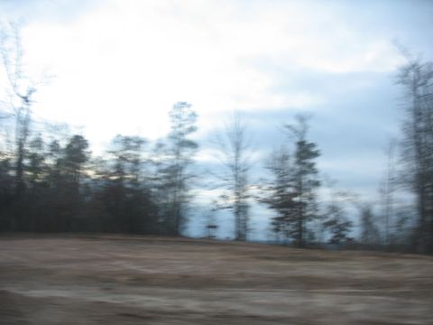 1978 Ford Bronco - Motion blur captures a landscape scene with trees and overcast sky.