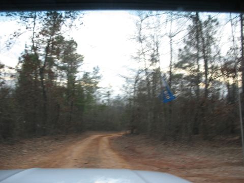 1978 Ford Bronco - Driving down a dirt road in a wooded area with a blue flag visible.