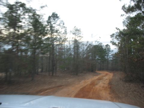1978 Ford Bronco - A dirt road curves through a wooded area with a cloudy sky overhead.