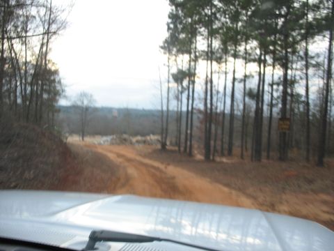 1978 Ford Bronco - Driving on a dirt road through a wooded area with a cloudy sky overhead.
