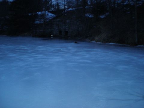 1995 Ford F-150 - A winter scene shows a frozen lake with a building and trees in the background, along with a Supermotors.net watermark.