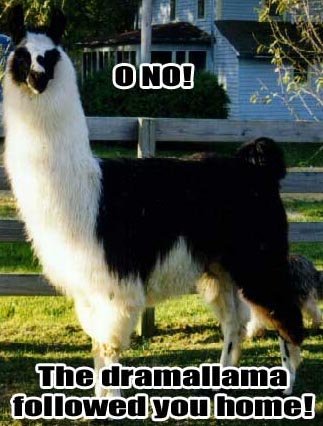 1993 Ford Bronco - A llama with a black body and white neck stands in front of a house, with text overlaying the image.
