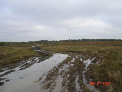 2001 Ford F-150 - A muddy path winds through a field, showing clear tire tracks from a vehicle navigating the terrain.