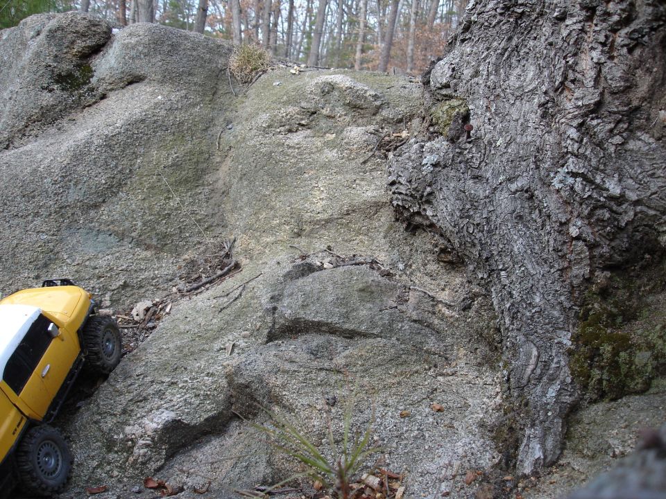 Yellow RC rock crawler on side-hill, next to tree trunk and rocks