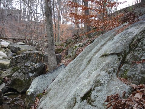 1996 Ford Bronco - A natural scene of a rocky stream bed winding through a wooded area during the fall or winter.