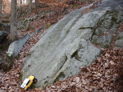 1996 Ford Bronco - RC rock crawler truck positioned on a large rock in a forest setting with fallen leaves.