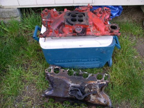 1979 Ford Bronco - JUNK
