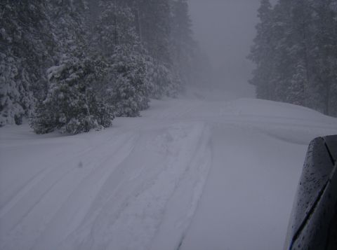 1986 Ford Bronco - A snowy road winds through a forest, with tire tracks indicating recent passage.