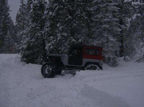 1986 Ford Bronco - An off-road vehicle navigates a snowy forest path.