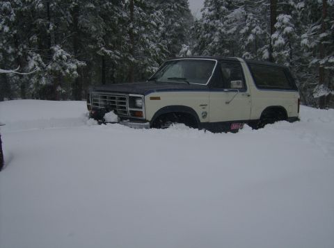 1986 Ford Bronco - A 1986 Ford Bronco is partially buried in snow, with trees in the background.