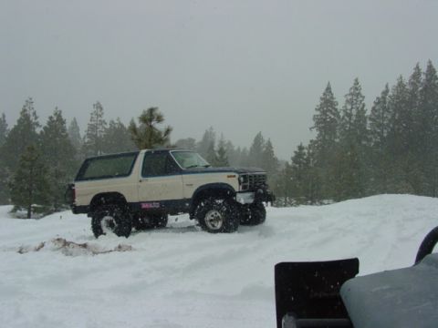 1986 Ford Bronco - Ford Bronco navigating snowy terrain with dense trees visible in the distance.
