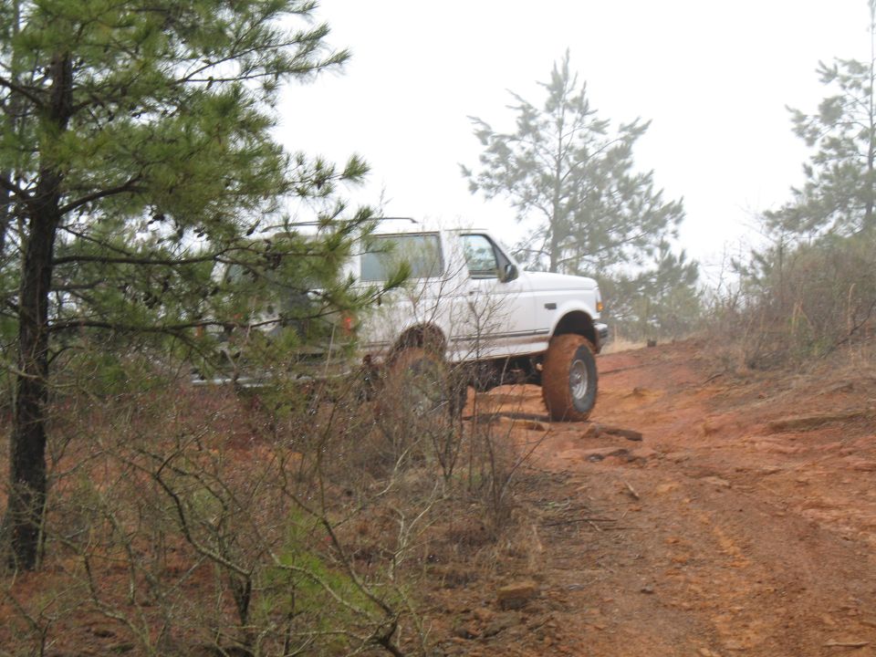I thought that the shot from behind the pine tree would look cooler than it does.