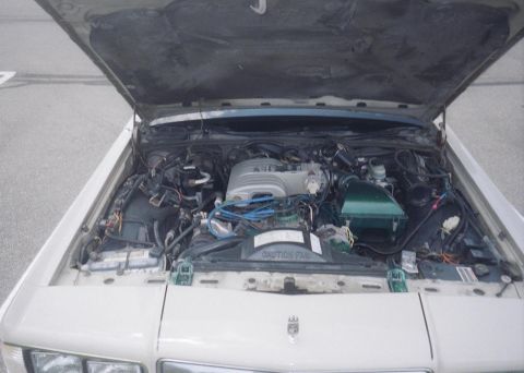 1988 Mercury Grand Marquis - Summer