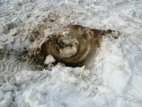 1979 Ford Bronco - A tire track is visible in the snow, suggesting a vehicle passed through the area.