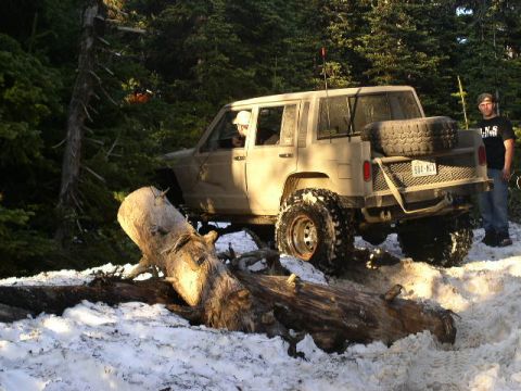 1979 Ford Bronco - A Jeep navigates a snowy trail, with a large fallen tree blocking the path.