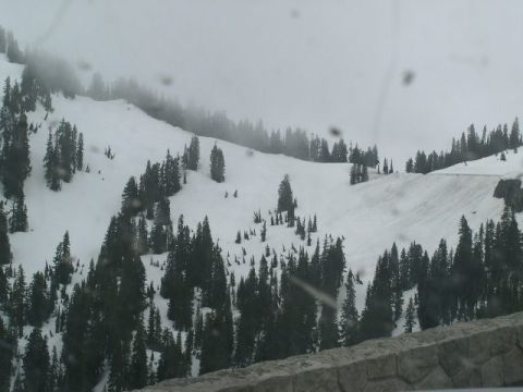 1979 Ford Bronco - A winter scene shows a snow-covered mountain slope dotted with pine trees, with a road visible in the distance.