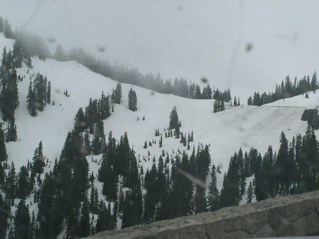 Snowy mountain landscape with pine trees and a road
