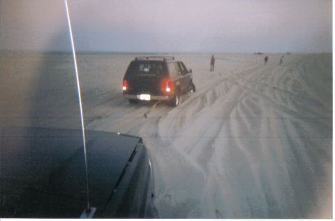 1996 Ford Bronco - this guy got stuck in the sand, the bronco took care of it.