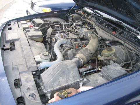 1991 Ford LTD Crown Victoria - The engine bay of a blue 1991 Ford Crown Victoria LTD is visible with the hood raised, and another vehicle is parked behind it.