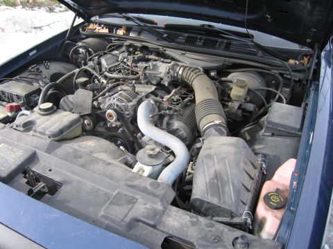 1991 Ford LTD Crown Victoria - The engine bay of a dark blue Ford Crown Victoria is shown with the hood open. The registry information may be incorrect.