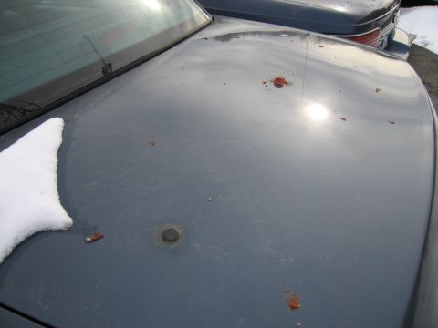 1991 Ford LTD Crown Victoria - The rear deck of a dark blue car is visible, with snow on the left side and scattered debris on the surface.
