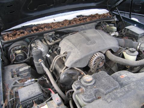 1991 Ford LTD Crown Victoria - Engine bay of a vehicle, showing the V8 engine cover, alternator, and various hoses and electrical components. Leaves and snow are visible…