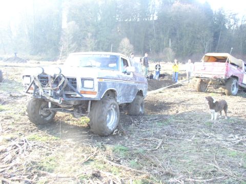 1978 Ford Bronco photo