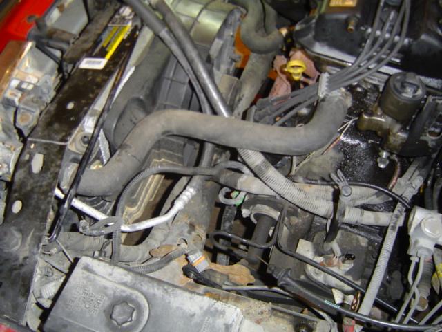Engine bay close-up with radiator hose, spark plug wires and harness in a red car