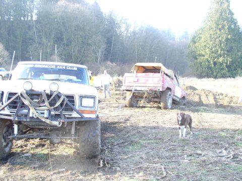Two lifted trucks and a brown dog in a muddy field, white truck reads Broncos 4x4 Club
