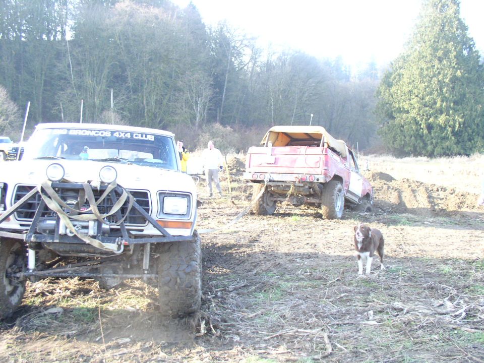 Two lifted trucks and a brown dog in a muddy field, white truck reads Broncos 4x4 Club