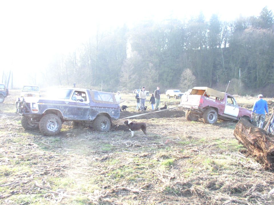 Several lifted trucks and dogs gathered around a muddy off-road play area on a foggy day