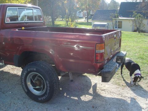 1991 Toyota Tacoma - A dog sniffs around the rear bumper of a maroon pickup truck parked outdoors on a sunny day.