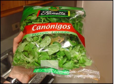 2005 Ford Mustang - A frog is unexpectedly found inside a bag of salad, much to the surprise of the person holding it.