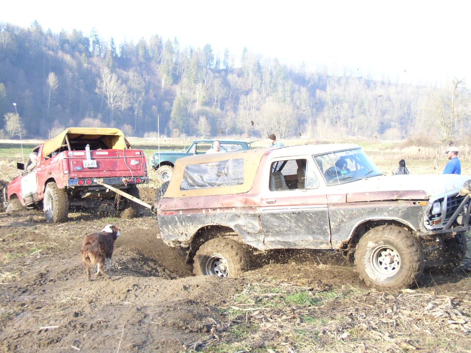 Brown soft-top Ford Bronco crawling through deep mud with a red truck and dog in background