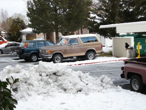 1988 Ford Bronco photo