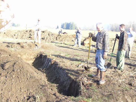 Men with shovels digging a long trench in a dirt field on a sunny day