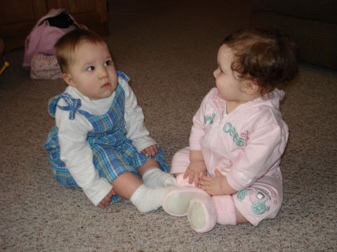 2000 Ford Crown Victoria - Emelia & her buddy Maggie. They are 5 days apart in age.