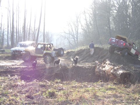 White soft-top Bronco and a red truck near a muddy pit with several dogs and a person