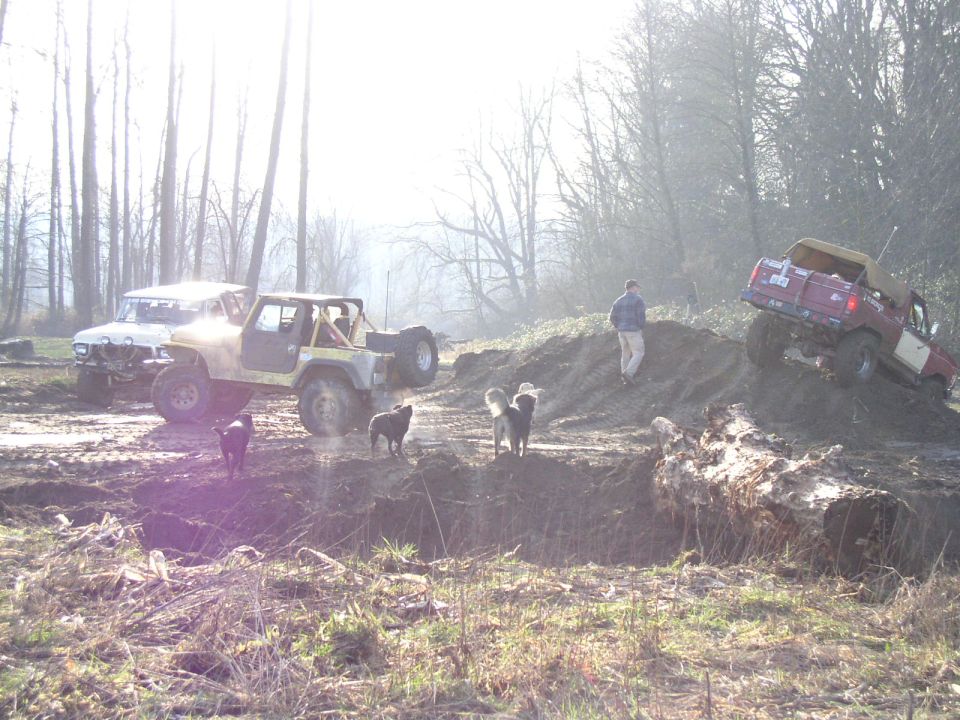 White soft-top Bronco and a red truck near a muddy pit with several dogs and a person