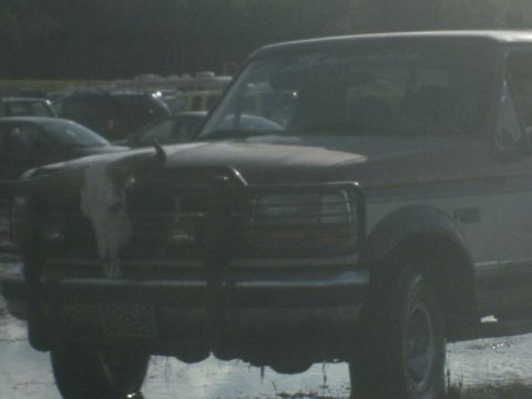 1994 Ford Bronco “big red”