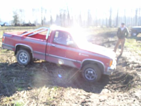 1978 Ford Bronco photo