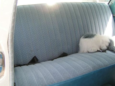 1956 Ford Fairlane - Interior view of a blue patterned bench seat with seatbelts and a stuffed dog resting on the cushion.