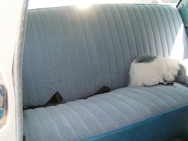 Blue patterned bench seat with seatbelts and a stuffed dog