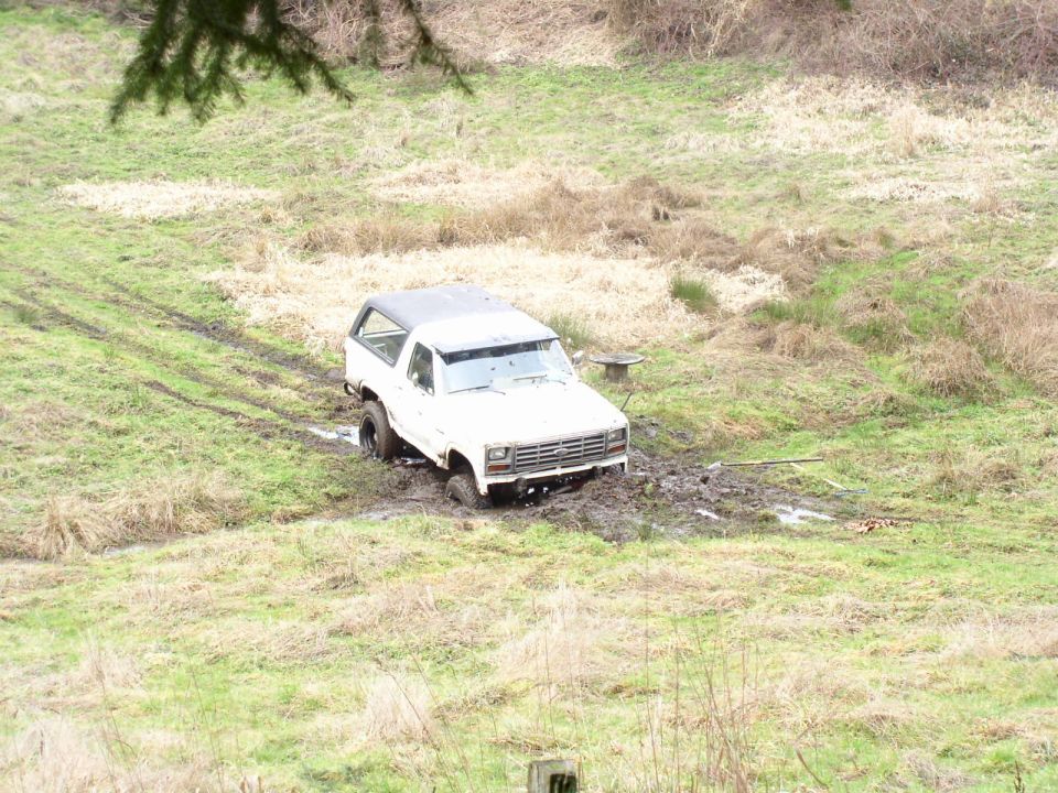 Out playn around and foud a mini pond.