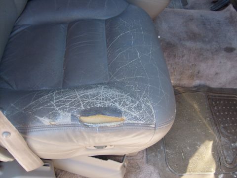 1995 Ford C-350 (Centurion Conversions) - Interior shot of a worn leather car seat showing significant damage and tears.